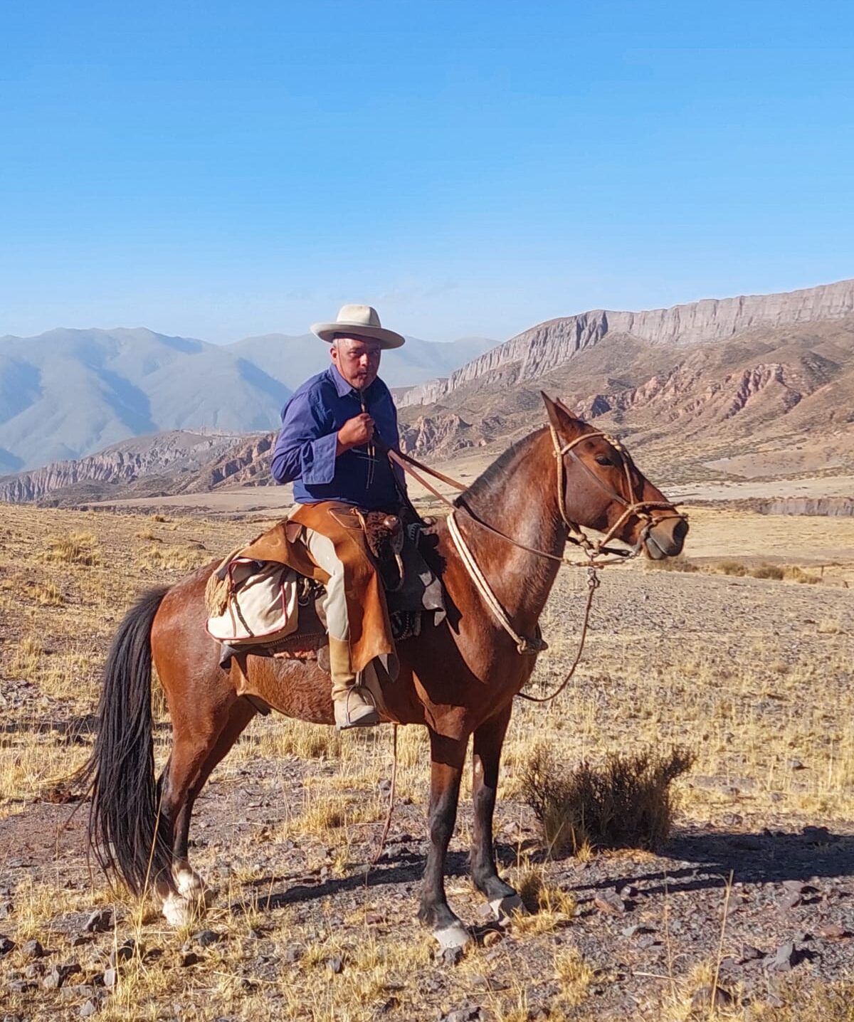 arriero de trekking